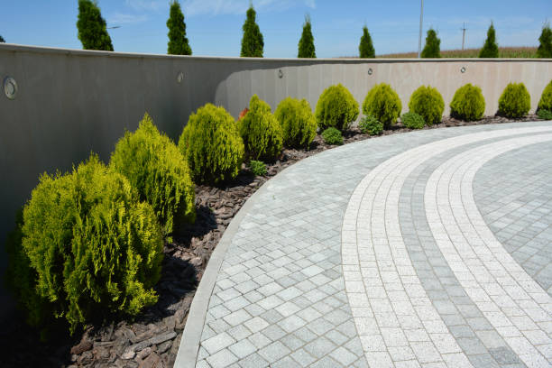 Best Best Driveway Pavers  in Tillson, NY